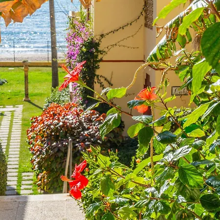 Апартаменты Casa Linda, Front The La Lucera, Ribiera Del Sol Wifi, Ac, Private Parking, Petfriendly Ситио-де-Калаонда